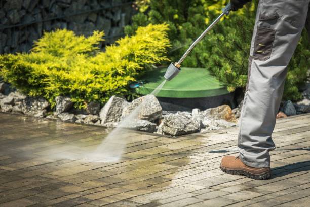 Best Winterizing Services  in Perry, FL