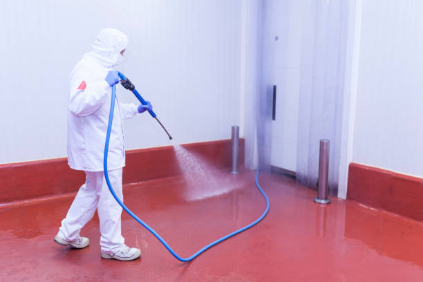 Best Pool Deck Cleaning  in Perry, FL