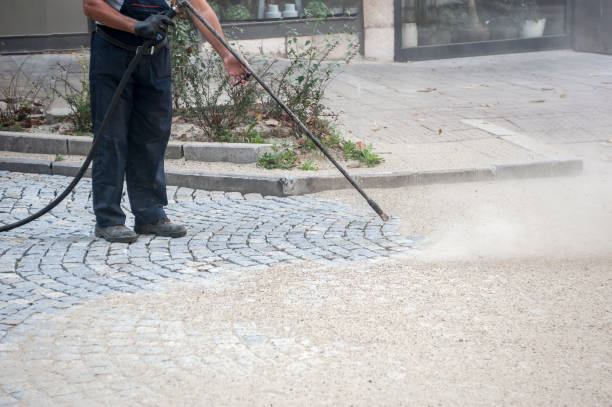 Best Pre-Holiday Cleaning  in Perry, FL