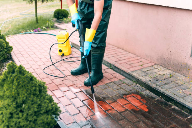 Animal Enclosure Cleaning in Perry, FL